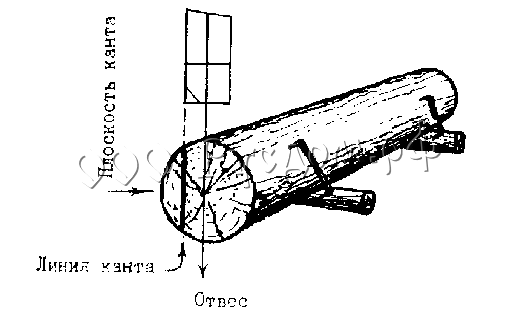 Разметка плоскости канта на торце бревна