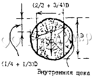 Разметка лапы на торце бревна