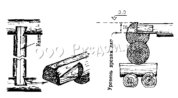 Врезка лаг в нижнюю обвязку сруба