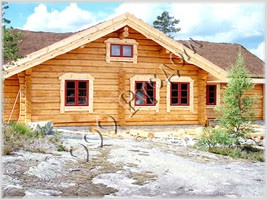 Фотография деревянного норвежского дома из лафета